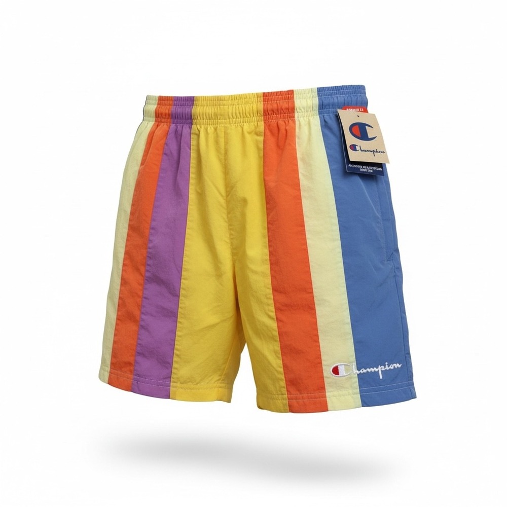 Champion Swim Trunks Mens Medium Multi Color Striped Nylon Mesh Lined Shorts